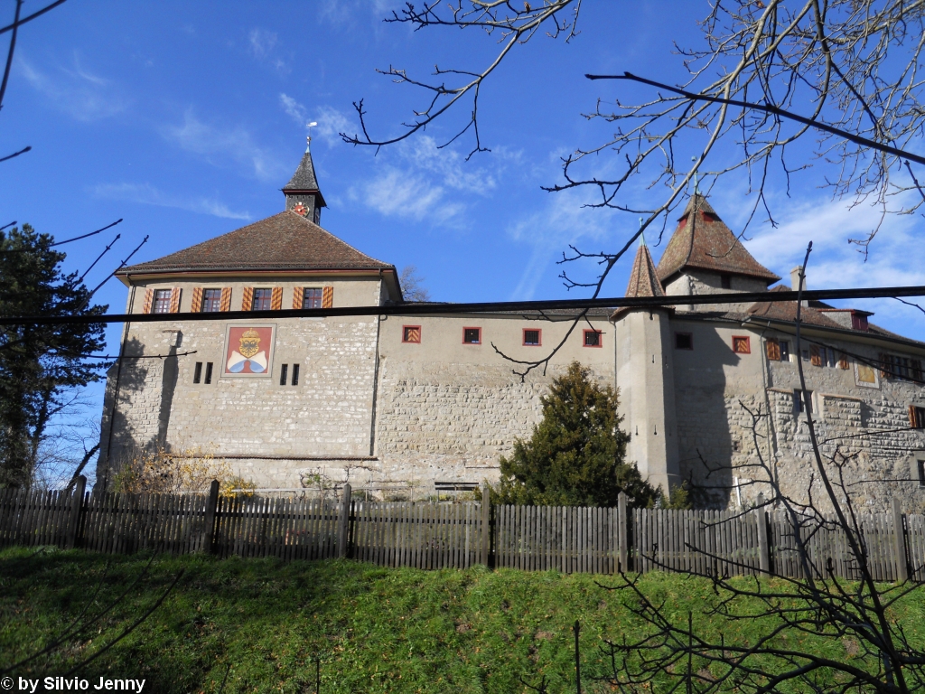 Die Kyburg, erstmals 1207 erwhnt war im Besitz des Grafen von Kyburg. Nach dessen Tod im Jahre 1264 erbten die Habsburger die Kyburg die sie hauptschlich als Schatzkammer bentzten. Im 15. Jahrhundert zogen sich die Habsburger nach Niedersterreich zurck und vermachten die Kyburg der Stadt Zrich. Ab 1831 war fr die Stadt Zrich die Kyburg nicht mehr von Nutzen, und nach diversen Besitzerwechsel ging im Jahre 1917 die Kyburg an den Kanton Zrich ber, der seither darin eine Ausstellung im Stil der Mittelalterromantik betriebt.