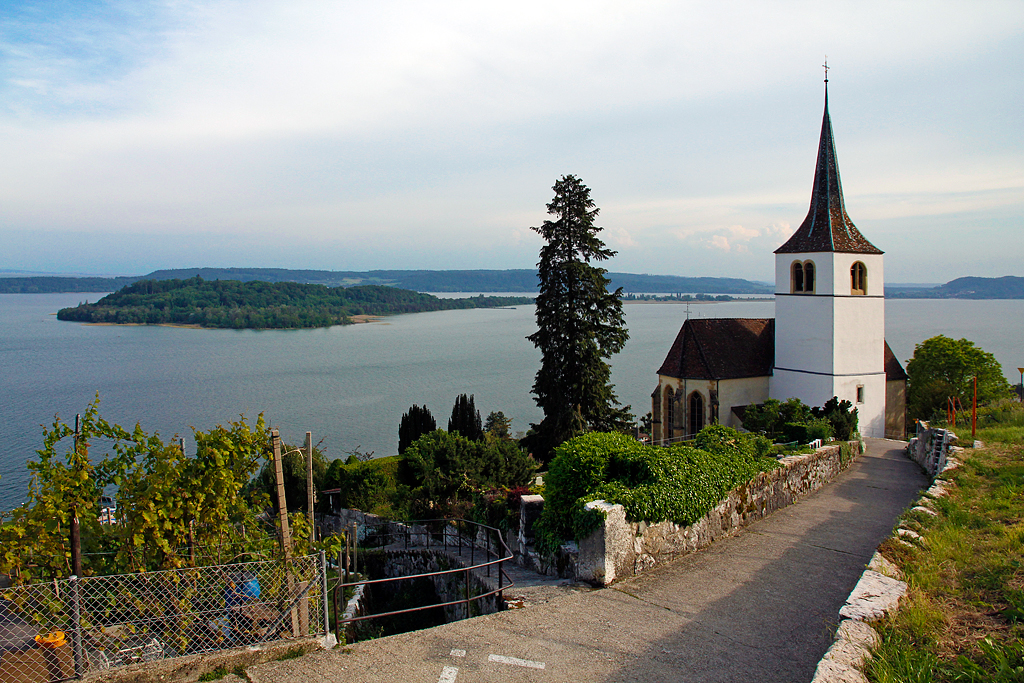 Die sptgotische Kirche Ligerz (ehem. hl. Kreuz) liegt isoliert im Rebberg und gut 50 m hher als der Ortskern (hier nicht mehr sichtbar). Sie entstand zwischen 1521 und 1526 anstelle einer Kapelle. Aufnahme am Pilgerweg. Rebhang, Bielersee und St. Petersinsel. 24. Mai 2012, 18:12