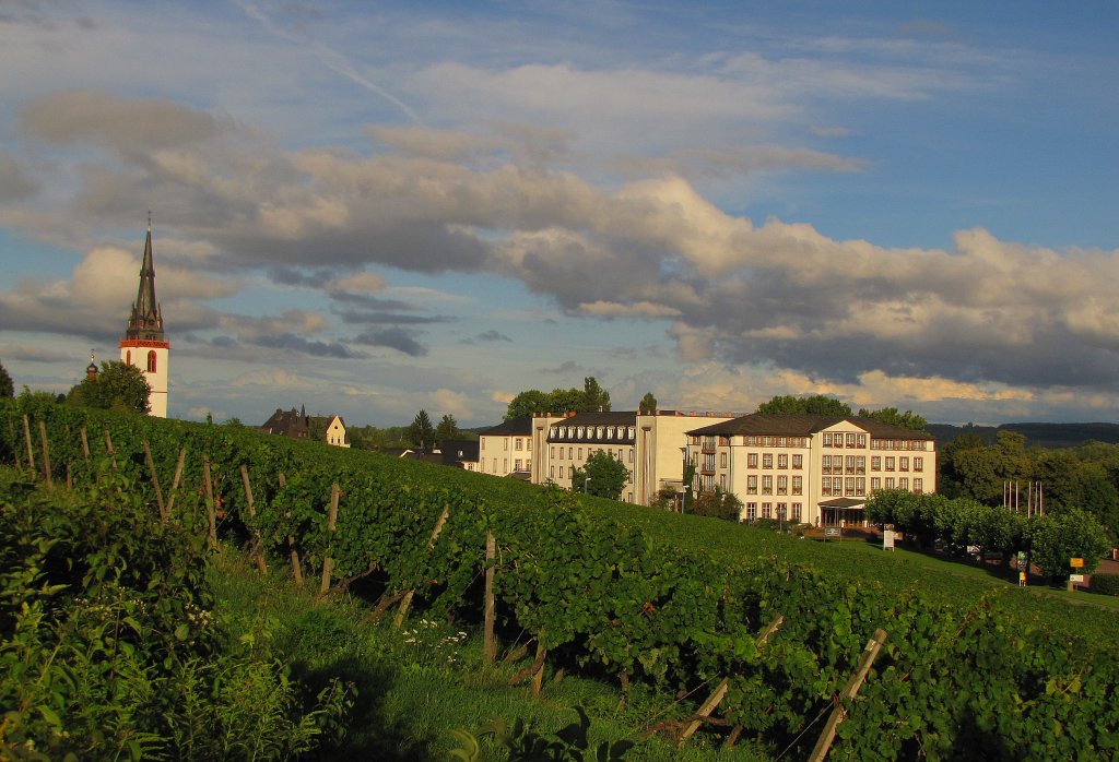 Die St. Markus Kirche und das Schlosshotel Reinhartshausen in Erbach (Rheingau); 14.08.2011