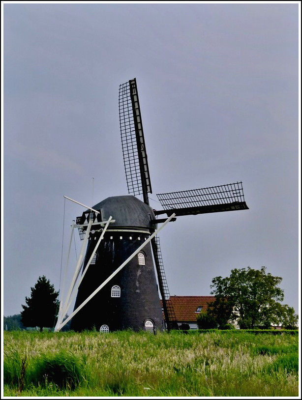 Die  Zwartenbergse Molen  liegt mitten im Polder zwischen Etten-Leur, Prinsenbeek und Zevenbergen in Noord-Brabant. Nach immer wiederkehrenden berschwemmungen, liessen die Bewohner des Polders die Mhle im Jahre 1721 errichten. Sie pumpte fortan das Wasser aus dem Polder in den  Leursche Haven . 2006/2007 wurde die Mhle komplett renoviert. 02.09.2011 (Jeanny)   