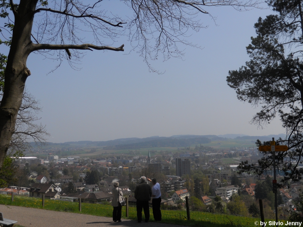 Diese Aufnahme ist ebenfalls im Bäumli entstanden. Es zeigt den Stadtteil Oberwinterthur dahinter Hegi, Bäumli 24.4.2010.