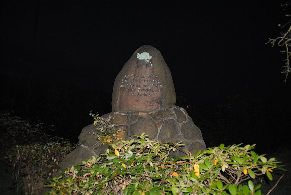 Dieses Dankmal steht im Lehrte/Richtersdorf. Es erinnert an den 1. Weltkrieg. Foto vom 12.10.2010.