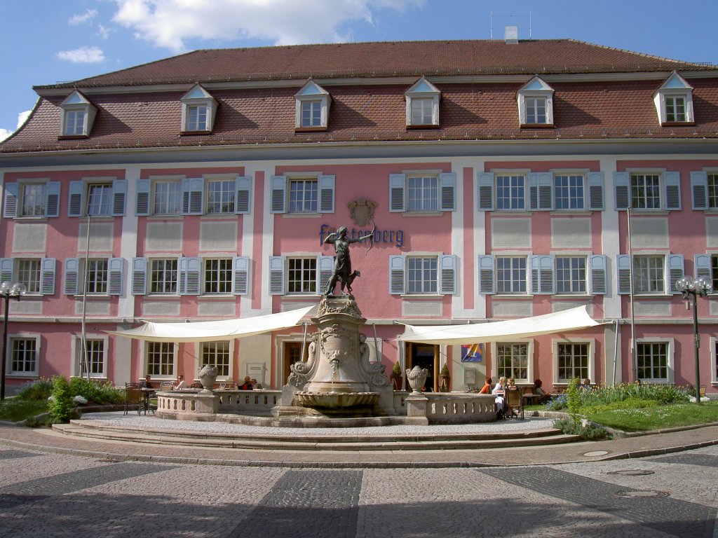 Donaueschingen, Frstlich Frstenbergische Sammlungen im Karlsbau, erbaut 1869 
(12.05.2008)