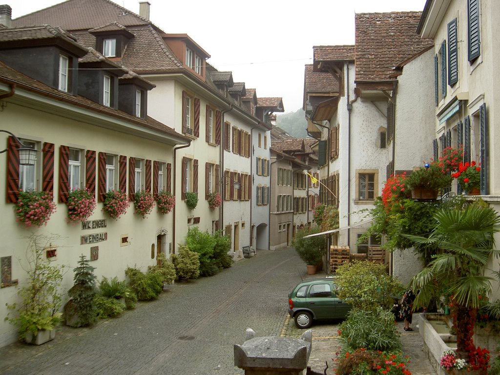 Dorfgasse von Twann am Bieler See (01.10.2011)