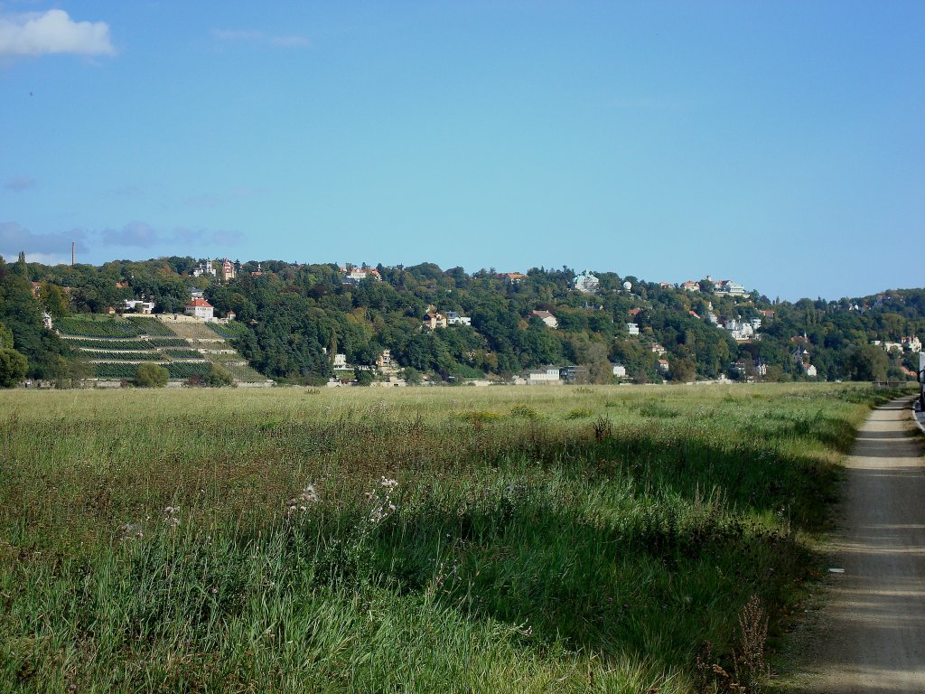 Dresden, Blick von den Elbwiesen zum Stadtteil  Weier Hirsch  dem Nobelviertel der Stadt in exponierter Lage, Okt.2009