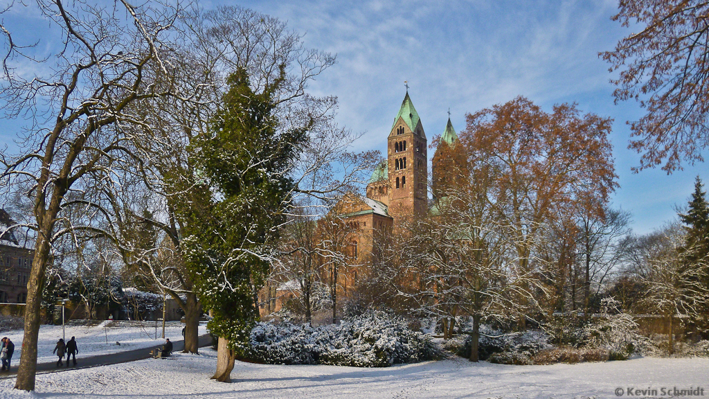 Durch die Bume des Domgartens kann man den Speyerer Dom ersphen. (08.12.2012)