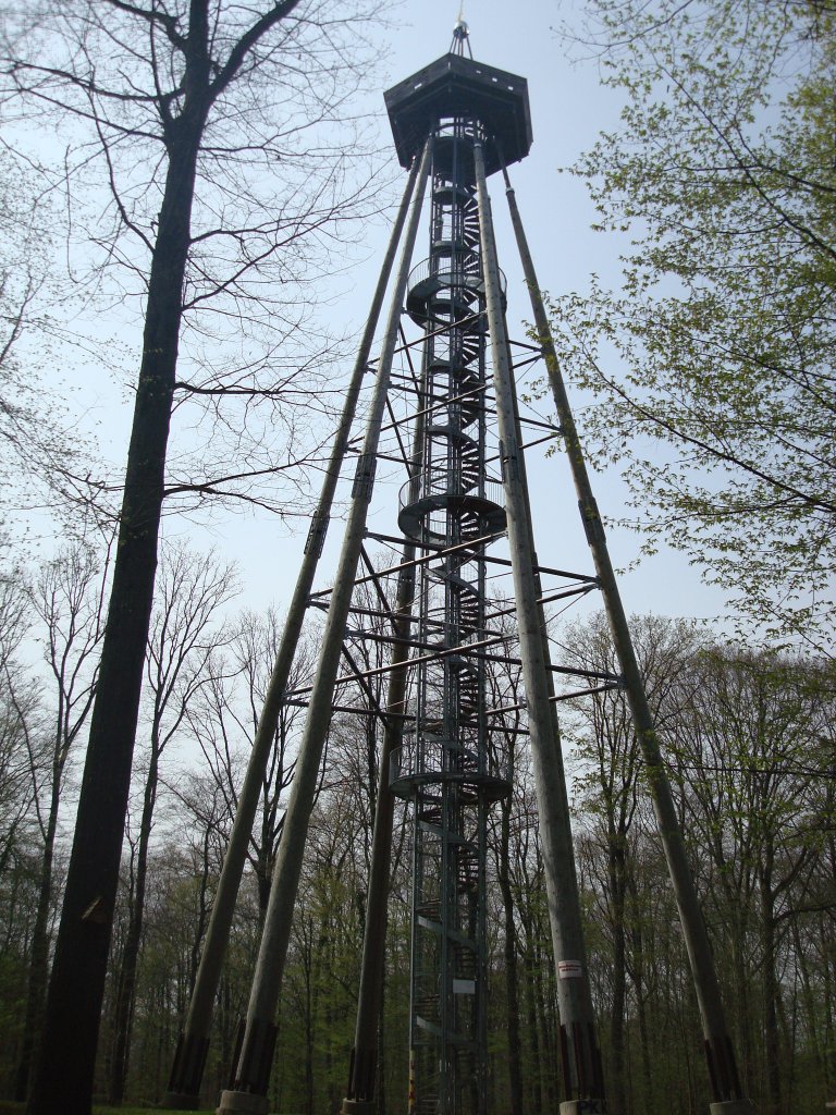 Eichbergturm 55m hoch, auf dem Eichberg 370m .N,
oberhalb von Emmendingen, eingeweiht Sept.2005,
die ca. 100 Jahre alten Douglasienstmme fr den 
hchsten Aussichtsturm in Baden-Wrttemberg stammen aus der nheren Umgebung,
April 2010