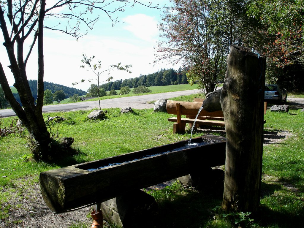 ein frischer Quell im Hochschwarzwald bei St.Peter,
Juni 2007