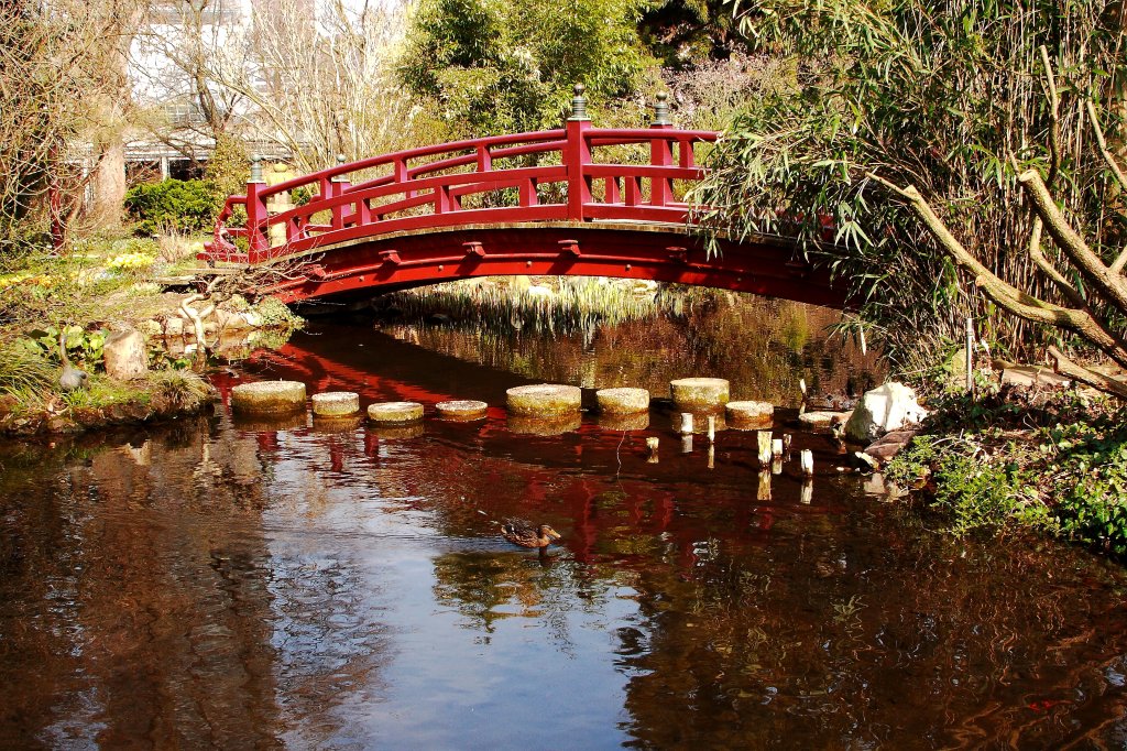 Eine der Brcken des im Leverkusener Carl-Duisberg-Park gelegenen  Japanischen Gartens . Die kleine Ente im Vordergrund lie es sich ganz offensichtlich nicht nehmen, sich fr diese Aufnahme schnellstmglich sehr fotogen in Szene zu setzen! Heidi Klum wre ob des Engagements dieses  Models  bestimmt begeistert gewesen! ;-)