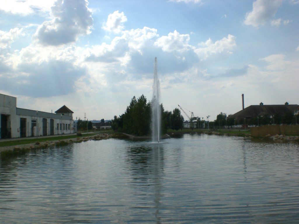 Eine Wasserfontne auf dem Dresdner Messegelnde.(27.7.2011)