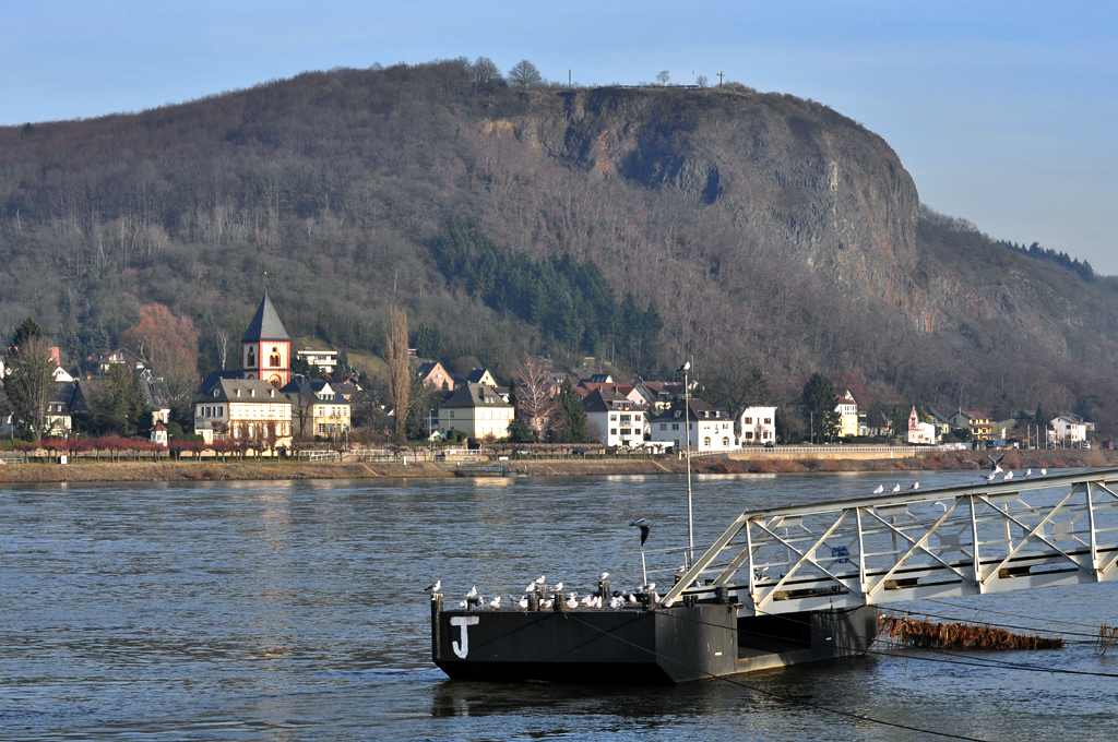 Erpel und das Felsplateau  Erpeler Ley  (gegenber von Remagen) - 17.01.2012