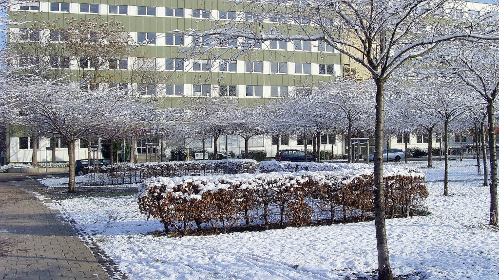 Erster Schnee am Hanseplatz, Erfurt 27.11.2010