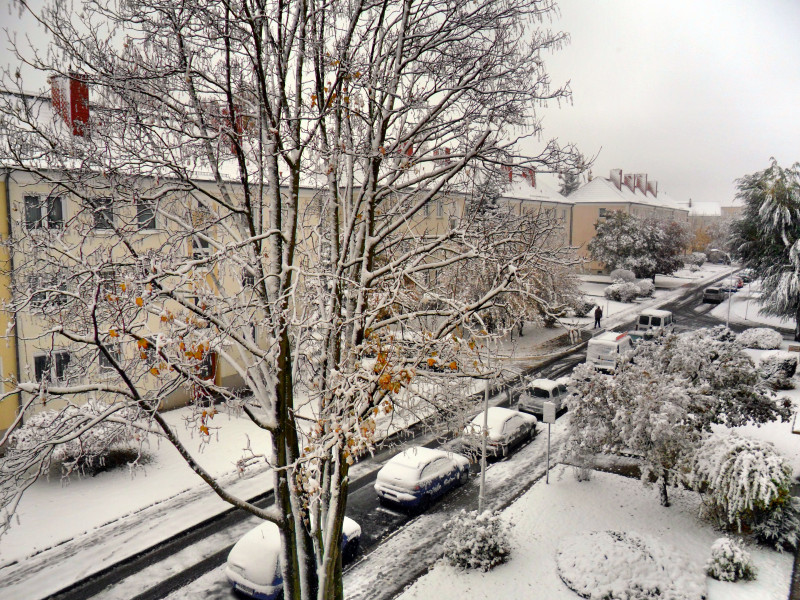 Erster Schneefall in Zeitz Winter 2012/13.

ber Nacht ist der erste Schnee gefallen.Blick in die Mozartstrae Zeitz.
(27.10.2012)