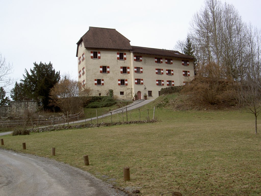 Feldkirch, Schloss Amberg im Ortsteil Levis, erbaut ab 1502 durch Felix Merklin 
(17.03.2013)