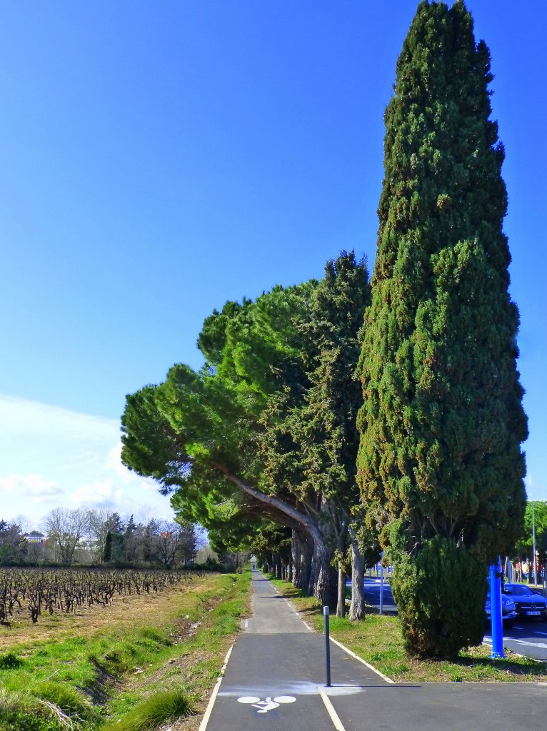 Frankreich, Languedoc, Radweg von Carnon am Mittelmeer nach Montpellier, grssenteils an der Schnellstrasse und der Strassenbahnlinie 3 entlang. Blick auf den Radweg in Richtung Montpellier. 25.03.2013