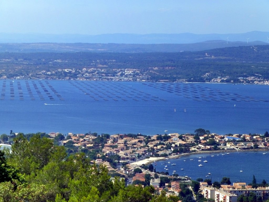 Frankreich, Languedoc-Roussillon, Hrault, vom Mont Saint Clair (Ste) aus gesehen von vorne nach hinten auf dem Bild: Ste, der tang de Thau, die Austernbnke, Bouzigues, 05.08.2013