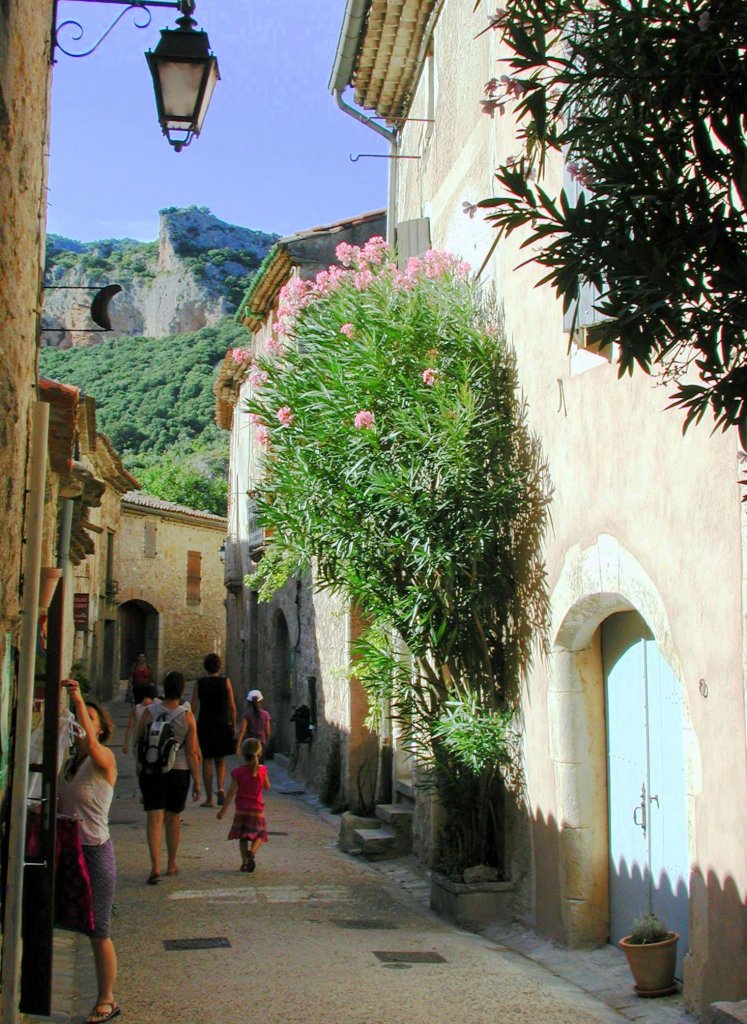 Frankreich, Languedoc-Roussillon, Hrault, Saint-Guilhelm-le-Dsert, 02.08.2009