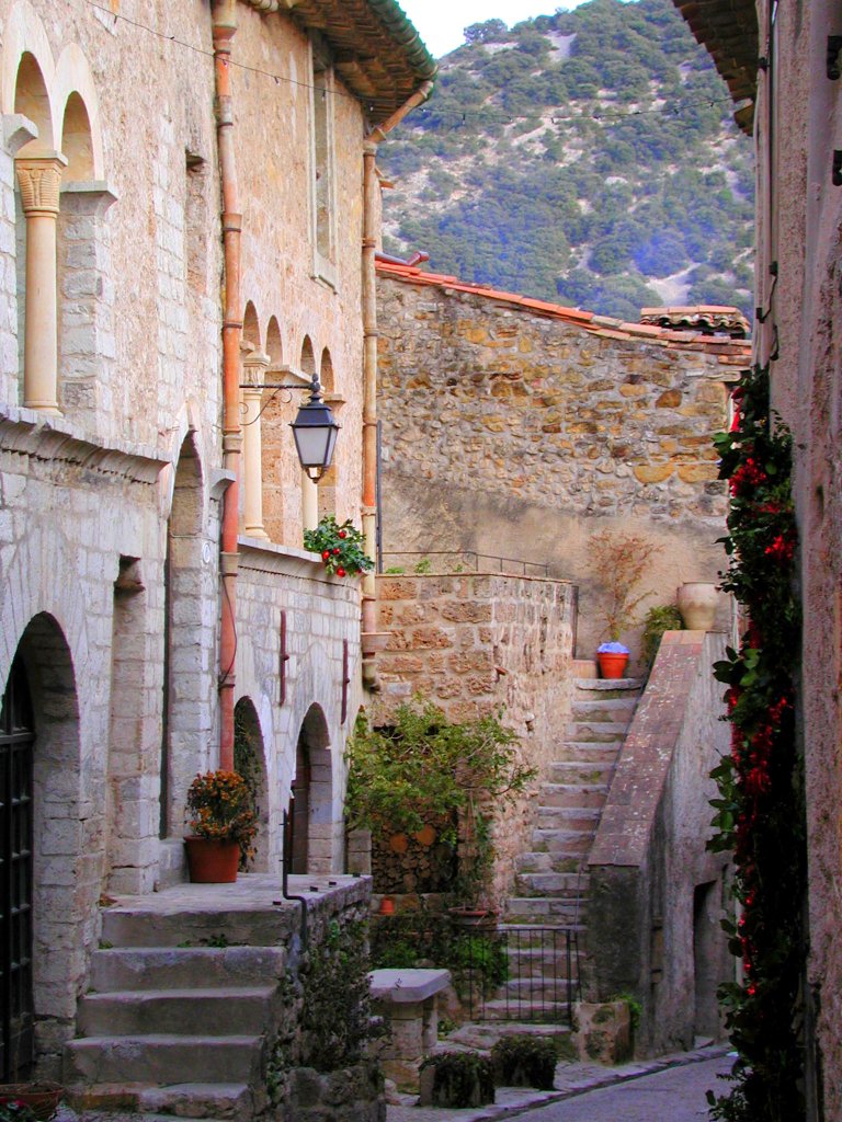 Frankreich, Languedoc-Roussillon, Hrault, Saint-Guilhelm-le-Dsert, 20.12.2001