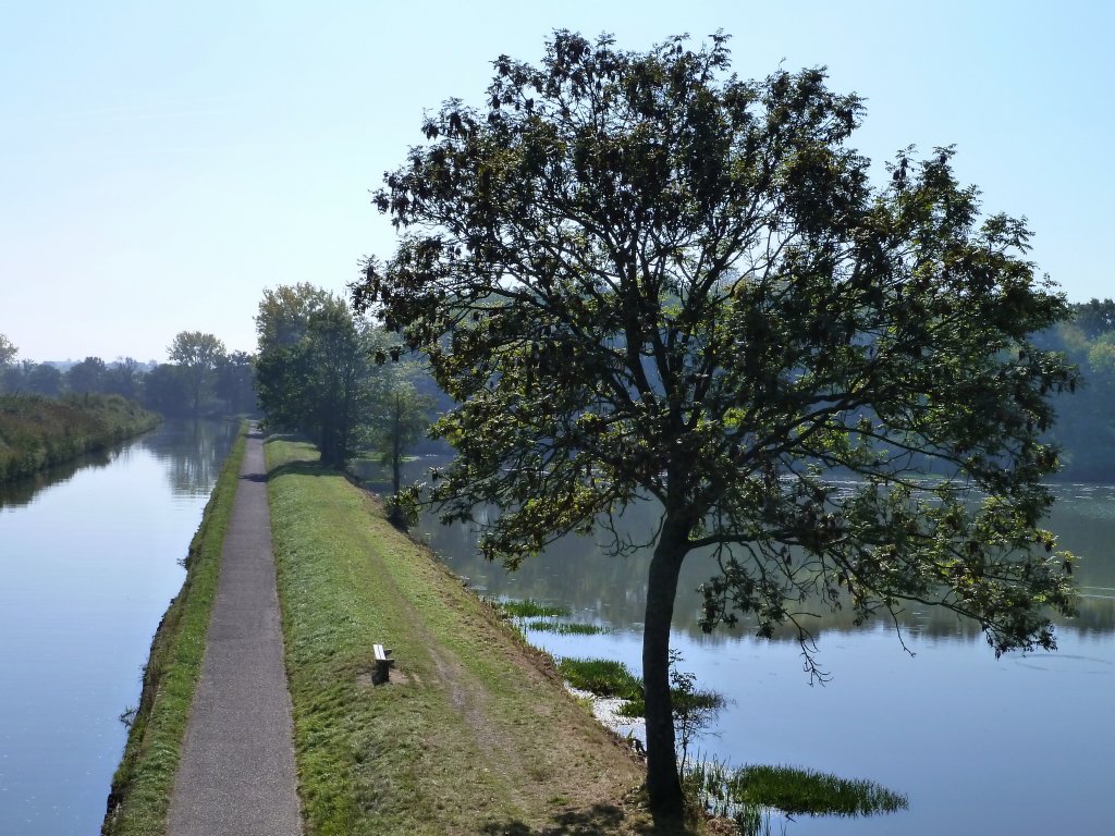 Frankreich, Lothringen, Radweg am Canal de la Marne au Rhin entlang, hier zwischen Gondrexange und Rchicourt. 01.10.2011