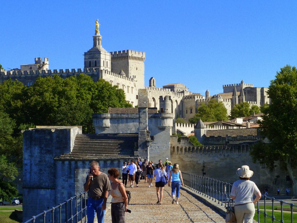 Frankreich, Provence-Alpes-Côte d'Azur, Vaucluse, Avignon, das linke Rhône Ufer von Avignon und der Papst Platz vom Pont Saint-Bénézet (Pont d'Avignon) aus gesehen, 06.09.2011