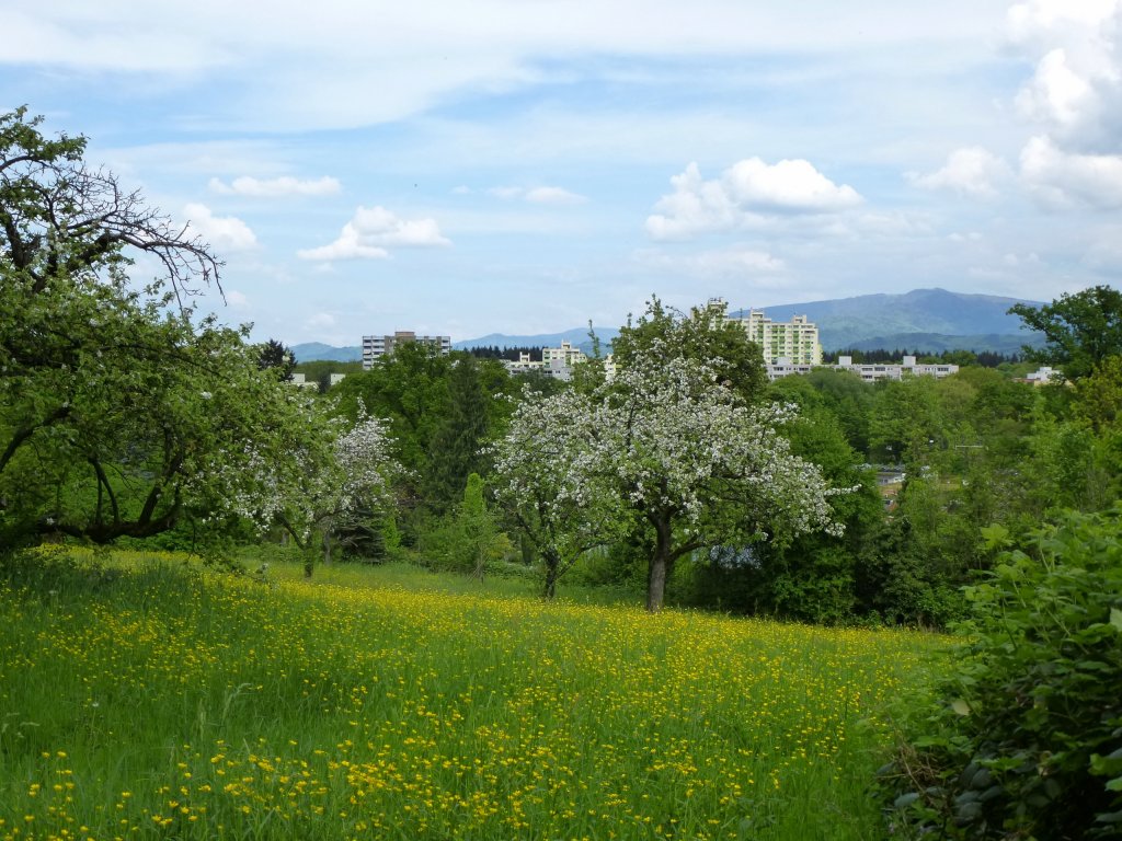 Freiburg, Blick vom Lehener Berg auf den Stadtteil Landwasser, ein Wohngebiet, das in den 1970er Jahren entstand, Mai 2013