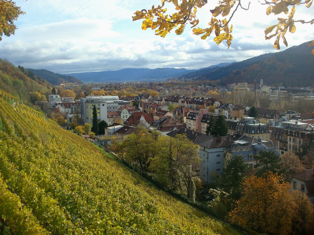 Freiburg im Breisgau, Blick vom Schloberg ins herbstliche Dreisamtal, Okt.2010