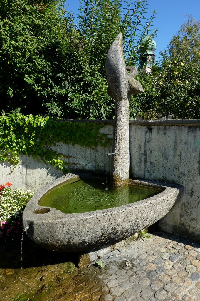 Freiburg im Breisgau, der Dorfbrunnen im Ortsteil Lehen, Sept.2011