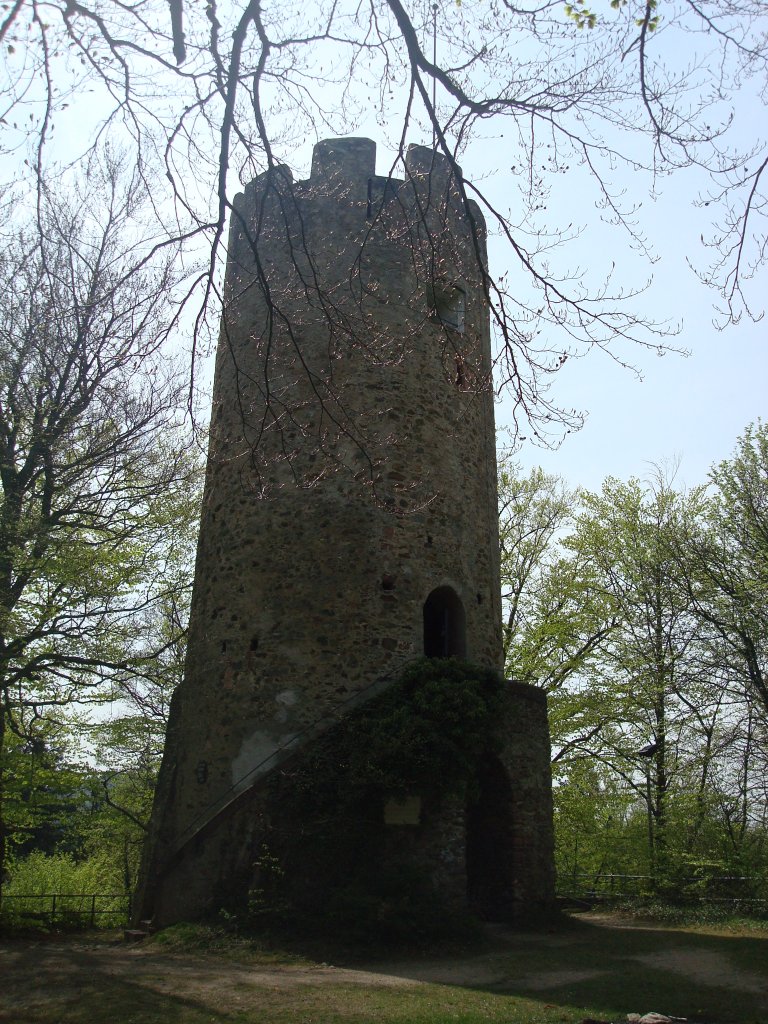 Freiburg im Breisgau,
die Zhringer Burg oder was davon brig blieb,
hoch ber Freiburg im Wald gelegen,
1128 erstmals urkundlich erwhnt, Stammsitz der Zhringer,
April 2010