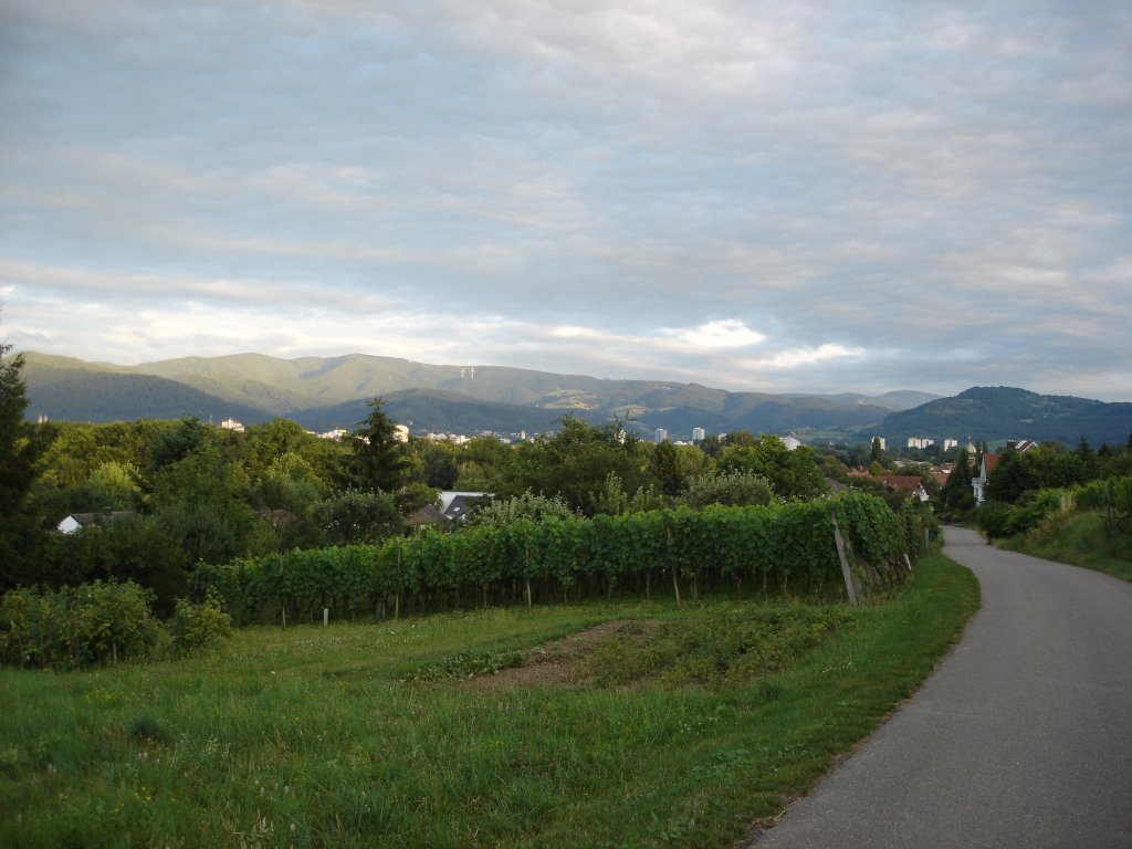 Freiburg/Breisgau,
Blick vom Lehener Bergle auf die Stadt
und die Schwarzwaldberge,
Aug.2008