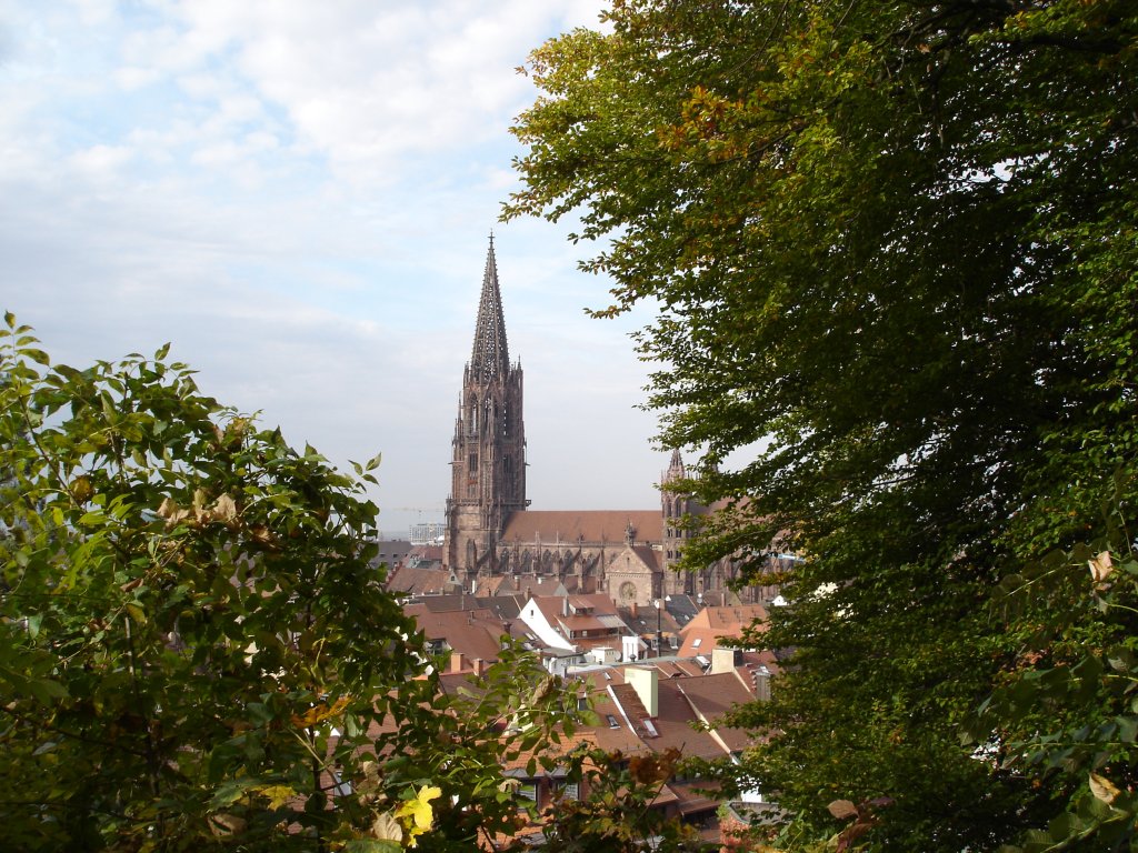 Freiburg/Breisgau
das Mnster vom Schloberg aus gesehen,
Okt.2005