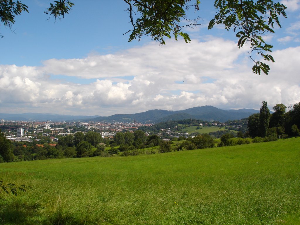 Freiburg/Breisgau,
Stadtansicht vom Schnberg aus,
Juli 2008