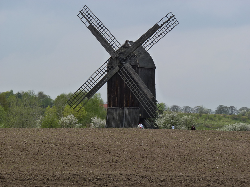 Freilichtmuseum Olsztynek (Hohenstein) Masuren ...
Das Freilichtmuseum zeigt einige Dutzend originale und rekonstruierte Gebude aus Ermland, Masuren und preuisch Litauen. Es werden Fachwerkhuser aus Holz, Speicher, Windmhlen, Wirtschaftsgebude, ein Wirtshaus und ein Kirchlein gezeigt.

01.05.2010