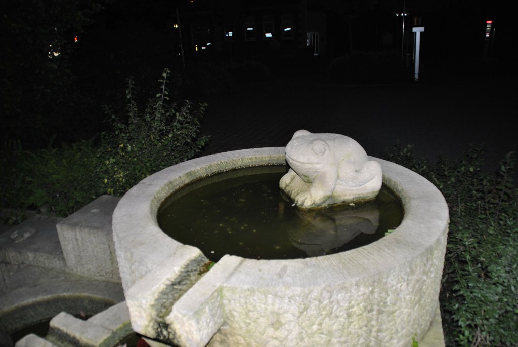 Frosch auf Brunnen. Dieser Brunnen, steht im Lehrte am Rathaus. Foto vom 09.10.2010