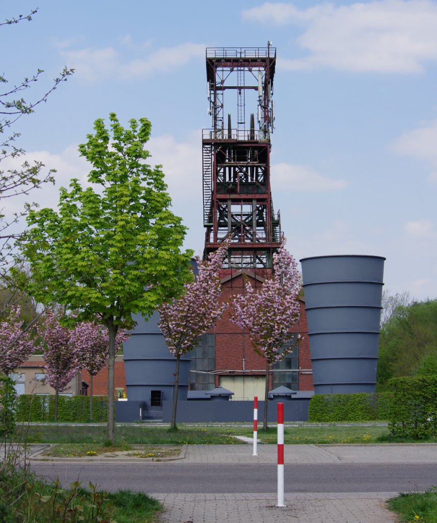 Frühling am Alsbachschacht...

Es grünt und blüht am 17.04.2011 in Saarbrücken.
Der Alsbachschacht in Burbach dient seit Jahrzehnten nur noch zur Wetterführung, denn die Blütezeit des Bergbau´s im Saarland ist vorbei. Die Kohleförderung im Saarland wurde Ende April 2012 eingestellt.