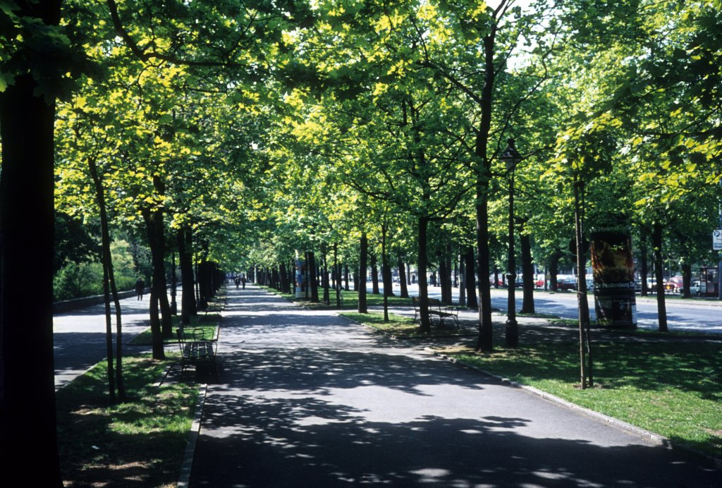 Frhling in Wien - am 1. Mai 1976: Parkring.