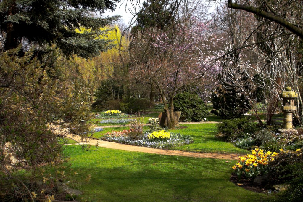 Frhlingserwachen im  Japanischen Garten  des Leverkusener Carl-Duisberg-Parkes, festgehalten am 24.03.2012.