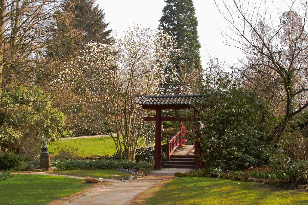 Frhlingsimpression aus dem im Leverkusener Carl-Duisberg-Park gelegenen  Japanischen Garten , aufgenommen am 24.03.2012.