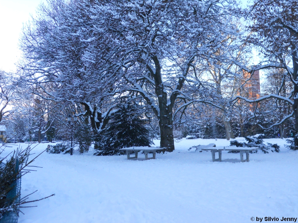 Ganz so gross wie der Central Park in New York ist der Winterthurer Stadtpark nicht. Immerhin bringt man vom Boden aus ein Grossteil davon auf ein Bild.