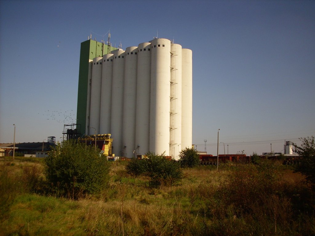 Getreidesilo 65 Meter hoch in Nordhausen 23.09.2007