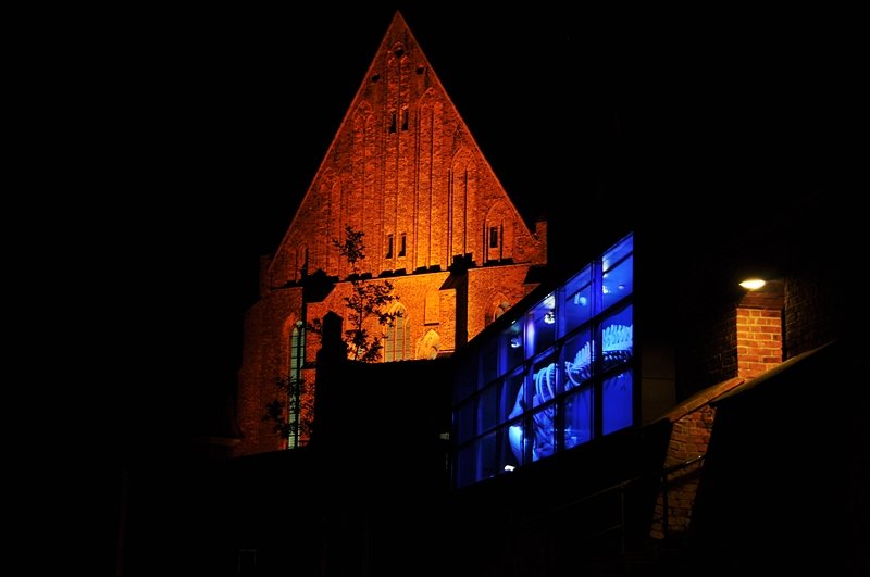 Giebel des Katharienenkloster vom Stralsunder Meeresmuseum, im Vordergrund die beleuchtete Vitrine mit dem Skelett eines Wales