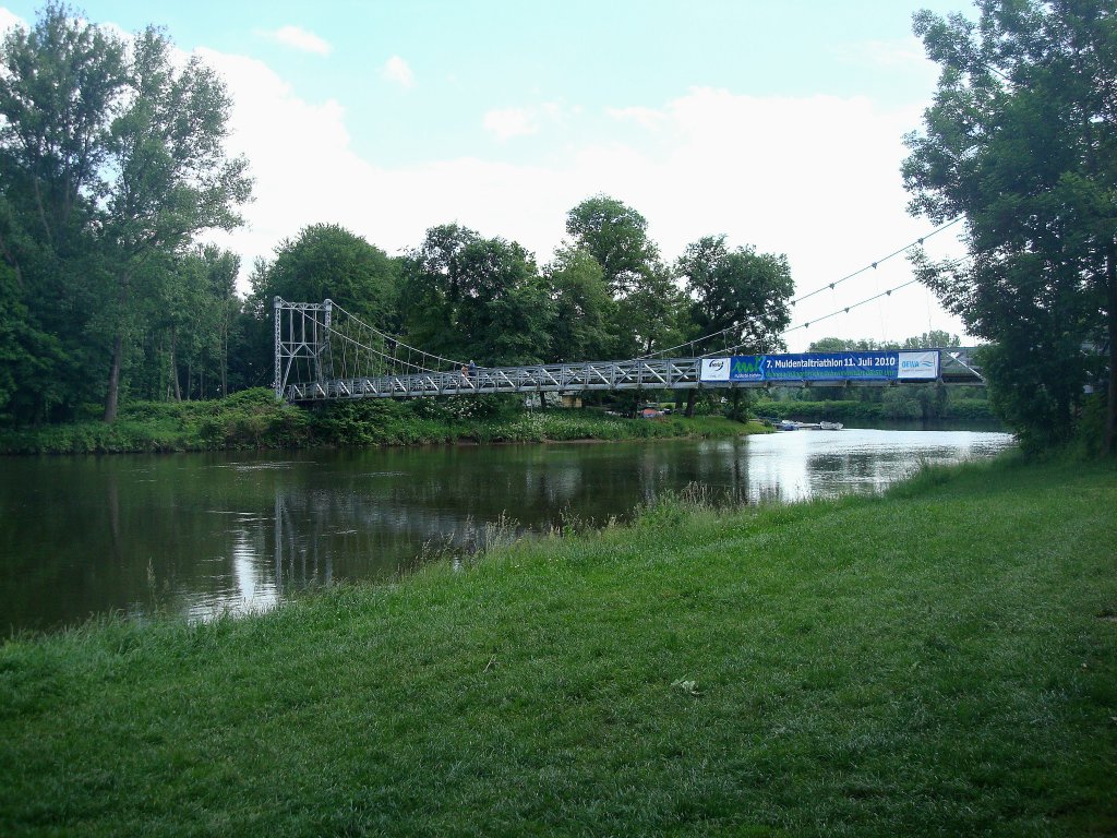 Grimma, die lngste Hngebrcke in Sachsen berspannt mit 80m die Mulde,
gebaut 1924, 1945 gesprengt, 1949 aufgebaut, nach dem Hochwasser 2002 saniert, fr Fugnger und Radfahrer,
Juni 2010