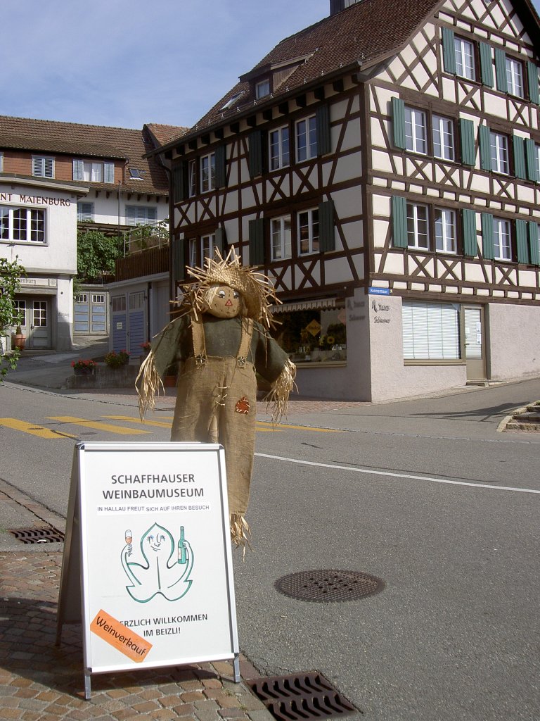 Hallau, Bergstrae mit Schaffhauser Weinbaumuseum (11.09.2011)