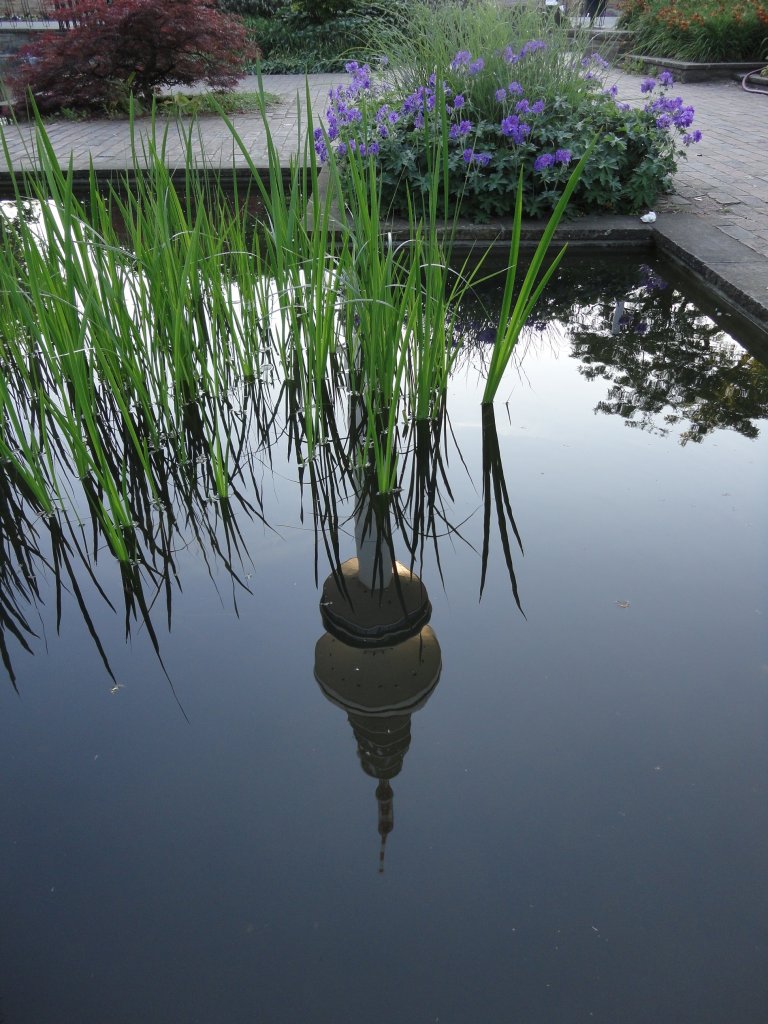 Hamburg am 27.5.2012, Park Planten un Blomen mit dem sich spiegelnden Fernsehturm (Telemichel)