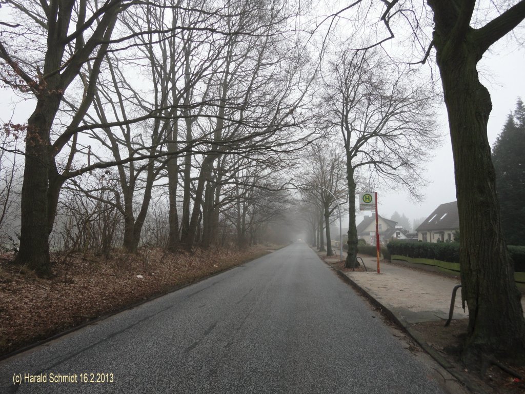 Hamburgs Osten am 16.2.2013: Blick auf eine winterliche Wohnstrae in Billstedt