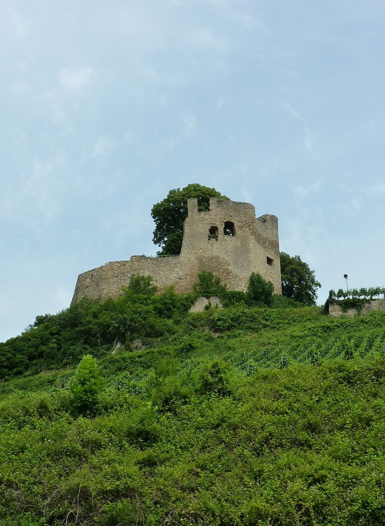 Hecklingen, die Burgruine Lichteneck, die 1290 erstmals erwähnte Burg kontrollierte die Handelswege durch die Riegeler Pforte, 1675 von den Franzosen zerstört, Juni 2012
