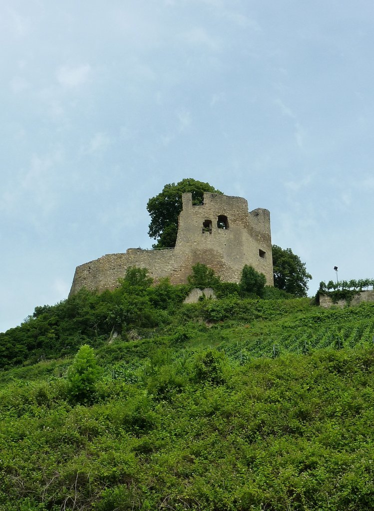 Hecklingen, die Burgruine Lichteneck, die 1290 erstmals erwhnte Burg kontrollierte die Handelswege durch die Riegeler Pforte, 1675 von den Franzosen zerstrt, Juni 2012