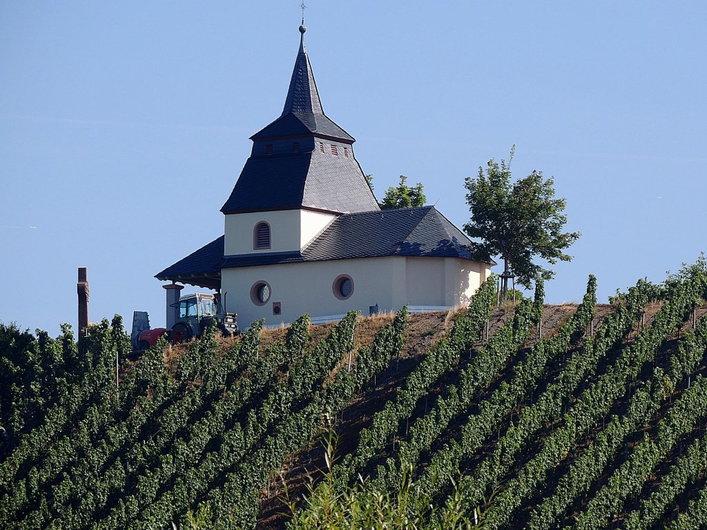 Hoch droben in den Weinbergen bei Trittenheim befindet sich die Sagenumwobene Laurentiuskapelle; 120827