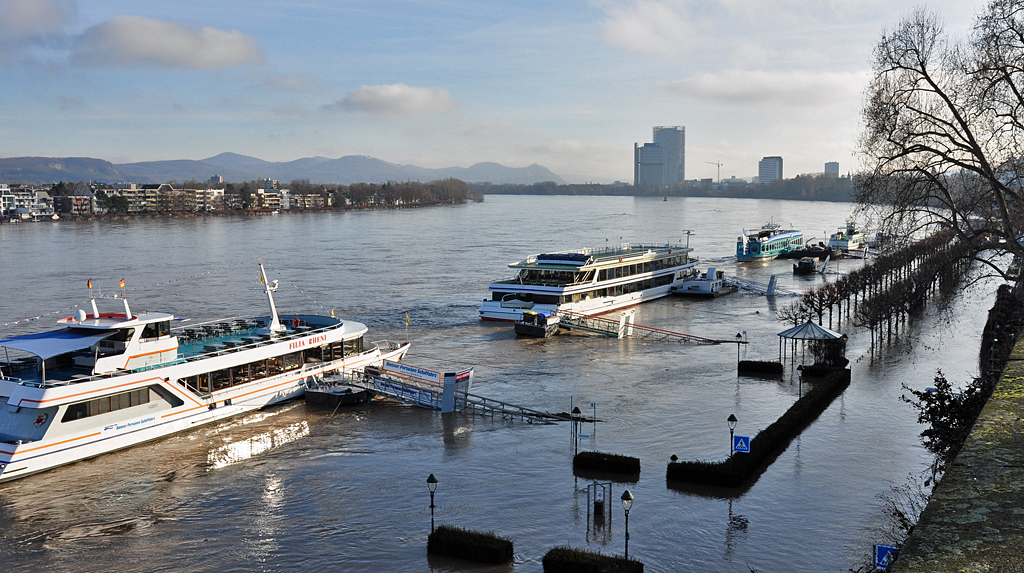 Hochwasser in Bonn, Schiffsanlegestelle Alter-Zoll - 10.01.2011