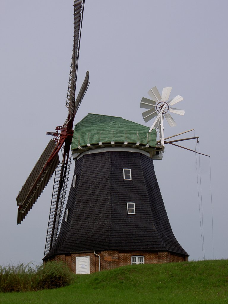 Hollnderwindmhle von Stove, erbaut 1889 (13.07.2012)