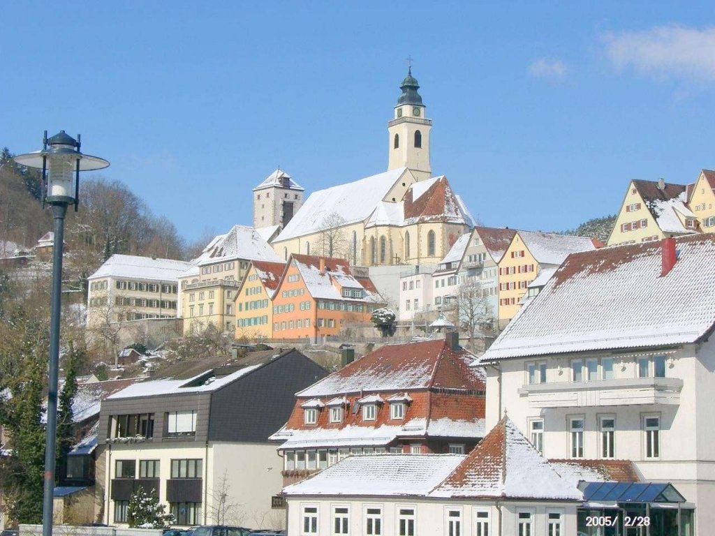 Single horb am neckar